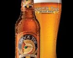 Shock Top 6pk bt