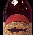 Dogfish IPA 90 Min Case