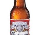 Budweiser 6pk can
